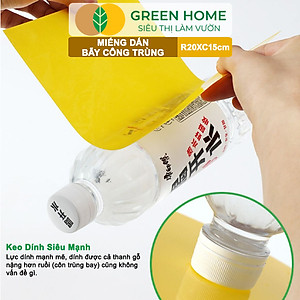 Bộ 10 Miếng Dán Bẫy Côn Trùng GreenHome, R20xC15cm, 2 Mặt, Hiệu Quả, Tiết Kiệm Chi Phí, Dễ Sử Dụng