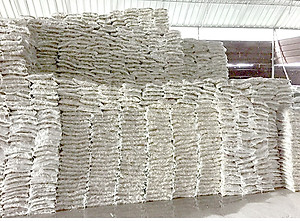 6KG San Hô Vụn vật liệu lọc hồ cá, trang trí bể cá, hồ thủy sinh cao cấp
