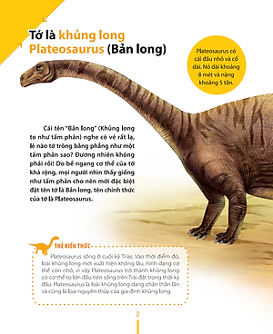 Sách Kiến Thức Về Khủng Long - Tại Sao Khủng Long Plateosaurus Lại Ăn Đá ? Đặc Tính Ăn Uống Và Tiêu Hóa Của Khủng Long