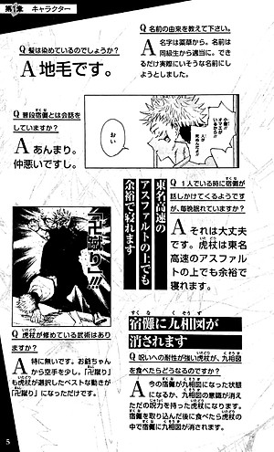 呪術廻戦 公式ファンブック (ジャンプコミックス)