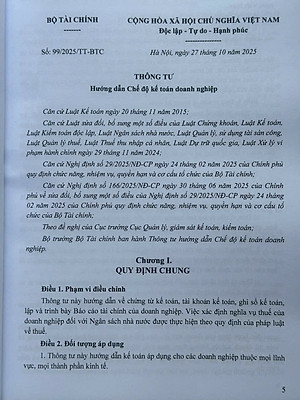 Sách Hướng Dẫn Chế Độ Kế Toán Doanh Nghiệp (theo Thông tư số 99/2025/TT-BTC) - V2672T