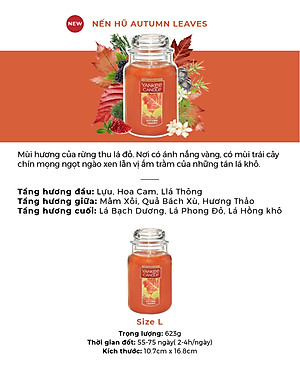 Nến hũ Yankee Candle size L - Autumn Leaves (623g)