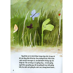 Sách Mầm Cây Tìm Cội