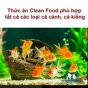 Thức Ăn Cho Cá CLEAN FOOD ( 500GR) Cao Cấp, Phù Hợp Mọi Loại Cá Cảnh, Giàu Dinh Dưỡng, Giúp Cá Lớn Nhanh, Lên Màu Đẹp