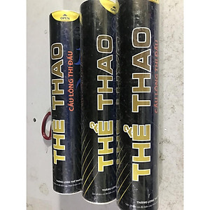 QUẢ CẦU LÔNG TẬP LUYỆN CAO CẤP