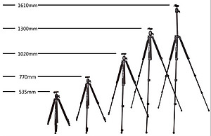 Chân Máy Ảnh Tripod Weifeng 6662A - Hàng Nhập Khẩu