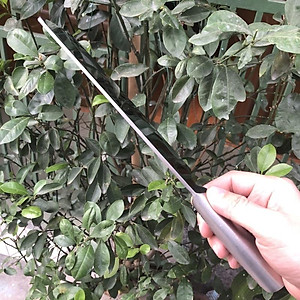 dao chặt xương Nhật hiệu global, sắc bén, liền khối, dài 30cm, dày 3.5li, không rỉ