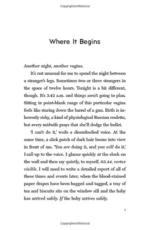 Hard Pushed: A Midwife’s Story