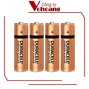 Pin AA Duracell Everyday , Pin Tiểu vỉ 4 viên cho máy nghe nhạc, chuột không dây, bàn phim - Hàng Chính Hãng