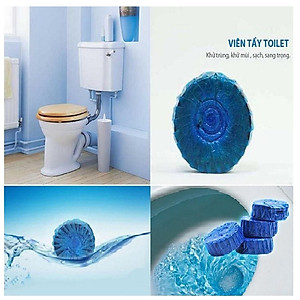 Chai Thả Bồn Cầu Ma Thuật Khử Mùi Diệt Khuẩn Cao Cấp, Lọ Tẩy Bồn Cầu Hương Thơm Tự Nhiên