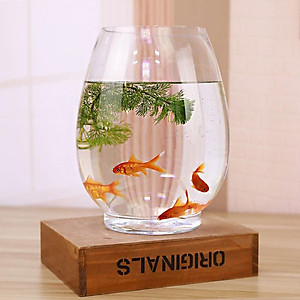 Chậu thuỷ tinh miệng khum chuyên dùng trồng cây thủy sinh, thủy canh, bình nuôi cá để bàn