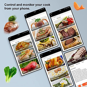 Máy nấu chậm Sous Vide BioloMix SV-9008 kết nối Wifi, công suất 1300W-Hàng chính hãng