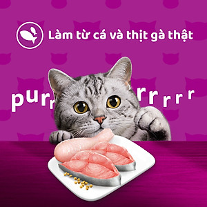 [Combo 12 Gói] Thức Ăn Cho Mèo WHISKAS 1+ years Vị Cá Ngừ, Gà 80g/Gói