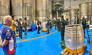 Rượu Vang Organic hữu cơ Castillo de Almansa Coleccion Garnacha Tintorera (Tây Ban Nha) kèm túi giấy,đồ khui