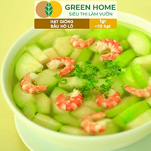 Hạt Giống Bầu Hồ Lô Greenhome, Gói 1g, Dễ Trồng Quanh Năm, Nảy Mầm Cao, Thu Hoạch Nhanh, Năng Suất Cao T11