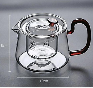 Bình pha trà thủy tinh cao cấp có lõi lọc crystan - 580ml - ANTH419