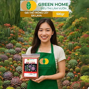 Đá Nham Thạch Lava GreenHome, Bao 500GR, Giá Thể Cho Thủy Sinh, Bonsai, Xương Rồng Màu Đỏ, Đen, Sạch Bụi