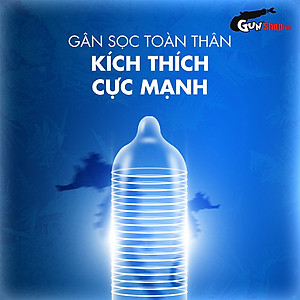 Bao cao su Shell Seahorse - Kéo dài thời gian - Hộp 10 cái