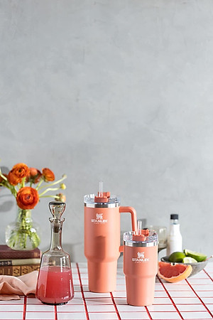 Ly cốc giữ nhiệt Stanley Quencher H2.0 Flowstate Tumbler có tay cầm