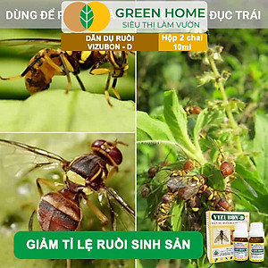 Chế Phẩm Dẫn Dụ Ruồi Vàng Đục Trái VIZUBON-D, GreenHome, 10ml, Không Cần Phun Xịt, An Toàn Cho Người