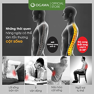 Đệm Massage OGAWA Nắn chỉnh cột sống Comfi Back