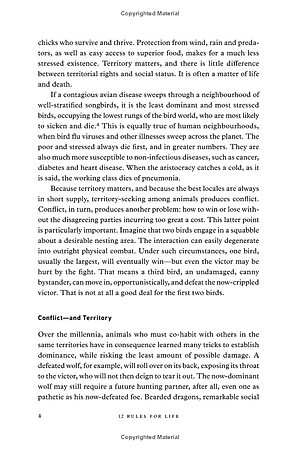 Sách 12 Rules For Life: An Antidote To Chaos