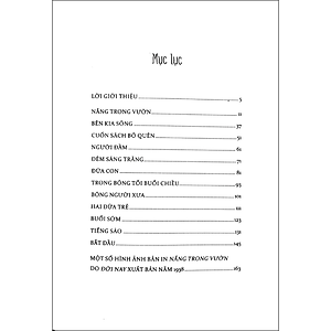 Sách Nắng Trong Vườn - Việt Nam Danh Tác