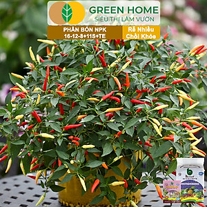 Phân bón NPK 16-12-8-11S+TE Greenhome, Better, Bao 1kg, Phát Triển Nhanh Thân, Cành, Lá, Bộ Rễ