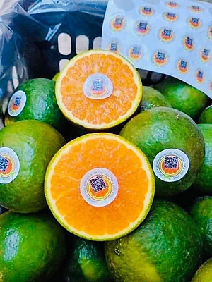 [ Chỉ Giao Hà Nội ] Cam Sành VIP - 1kg