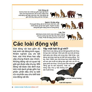 Tri Thức Trong Lòng Bàn Tay - Bách Khoa Thiếu Nhi Động Vật (Sách Bản Quyền)