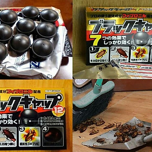 Thuốc diệt gián Nhật Bản hộp 12 viên ( hàng Loại 1)