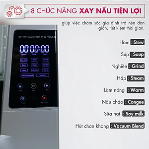 Máy xay sinh tố công suất lớn 800W Mishio - Hàng chính hãng