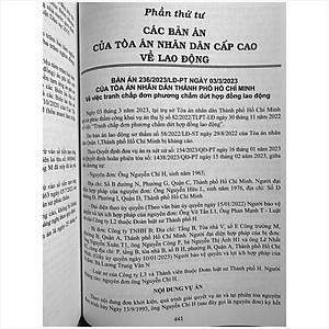 Sách Tuyển Tập Các Bản Án Của Tòa Án Nhân Cấp Cao Về Hành Chính - Kinh Doanh Thương Mại - Hôn Nhân Gia Đình - Lao Động (Dành cho Thẩm phán, Thẩm tra viên, Hội thẩm, Kiểm sát viên, Luật sư và các học viên tư pháp ) - TS. Trần Văn Hà (V2446A)