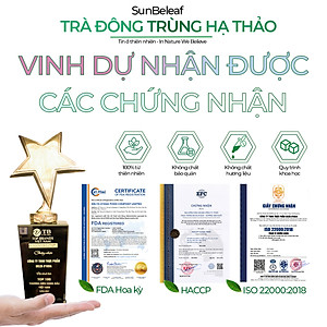 Trà Đông Trùng Hạ Thảo Tứ Vị Táo Đỏ Sunbeleaf – Bồi Bổ Cơ Thể, Bổ Khí Huyết, Tốt Cho Tim Mạch, Chống Lão Hóa – Hộp 10 Đến 20 Gói