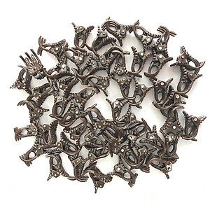 combo 50 kẹp hình bướm kẹp hoa lan, cây cảnh, lan hồ điệp Juno