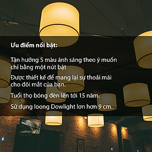 Bóng đèn Philips LED Bulb A60 DS FR DIM thay đổi nhiệt độ màu - Công suất (8W, 13W)