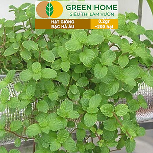 Hạt Giống Bạc Hà Âu Greenhome, Gói 0,1gr, Húng Lũi Dễ Trồng Quanh Năm, Nảy Mầm Cao, Thu Hoạch Nhanh, Năng Suất Cao G02
