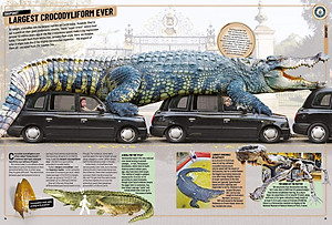 Sách Guinness World Records 2020 (Hardback)