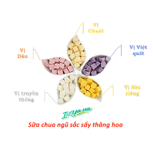 Sữa chua sấy thăng hoa I.Yaua túi 25g mix 05 vị (việt quất, sầu riêng, chuối, dâu và truyền thống)