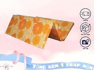 Nệm Bông Ép Cao Cấp Gấp 3 Dày 5cm Đủ Size ( Giao Màu Ngẫu Nhiên )