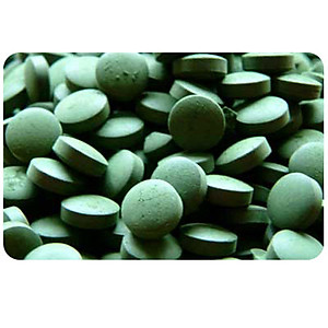 Thực phẩm chức năng bảo vệ sức khỏe CHLORELLA tảo 1440 viên Số 1 Nhật Bản.