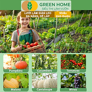 Lưới làm giàn cây leo, GreenHome, Nhiều kích thước Độ bền cao, Dễ lắp đặt, Không viền, Làm giàn bầu, Mướp, bầu, Bí, hoa