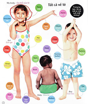 Sách Vừa Học Vừa Chơi - Từ Vựng Tiếng Anh