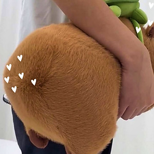 Thú nhồi bông Capybara chảy nước mũi êm mịn dễ thương cao cấp - Size từ 25cm đến 90cm - Quà tặng gấu bông Capybara nhồi bông dễ thương - Gối ôm mềm mịn cho bé