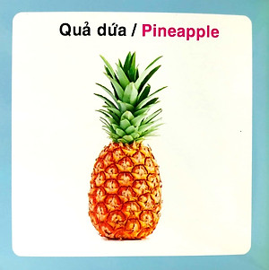 Từ Điển Hình Ảnh Cho Bé - Trái Cây