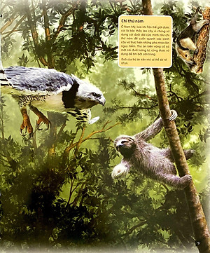 Tủ Sách Thế Giới Động Vật - Nơi Ở Và Thói Quen (Hình Minh Họa 3D)