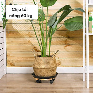 Đế Lót Chậu Cây ANKAN Có Bánh Xe - Gỗ Tràm Mặt Tròn 30cm, Tải Trọng 60kg - Màu Vàng
