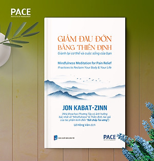 Sách Giảm Đau Đớn Bằng Thiền Định