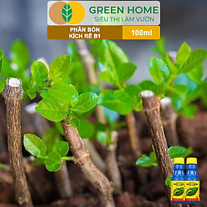 Phân Bón Kích Rễ, Greenhome, B1, Chai 100ml, Tạo Mầm, Rễ Khoẻ, Sai Hoa, Phục Hồi Rễ Yếu, Lá Dày