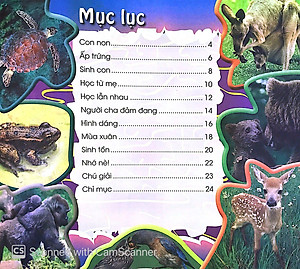 Sách Độc Lạ Phi Thường - Thú Con Bé Bỏng